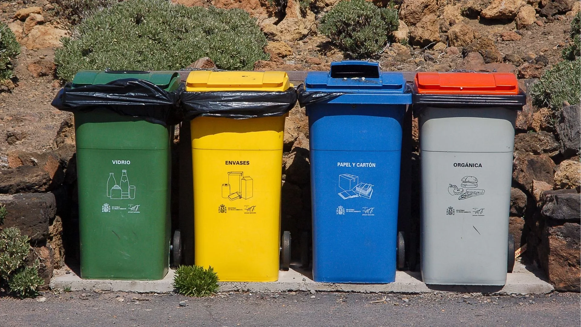 Plastik nie zawsze do żółtego, papier nie zawsze do niebieskiego. Jak segregować śmieci za granicą?