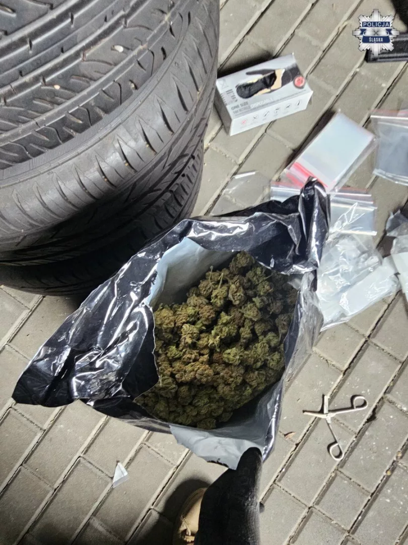Śląscy policjanci rozbili grupę narkotykową. Pięciu mężczyzn trafiło do aresztu