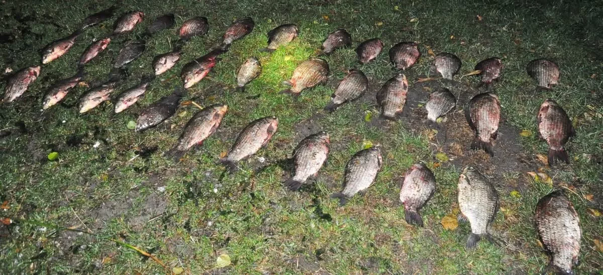 Kłusował sieciami na zbiorniku Krzczeń. Zabezpieczono blisko 35 kg ryb