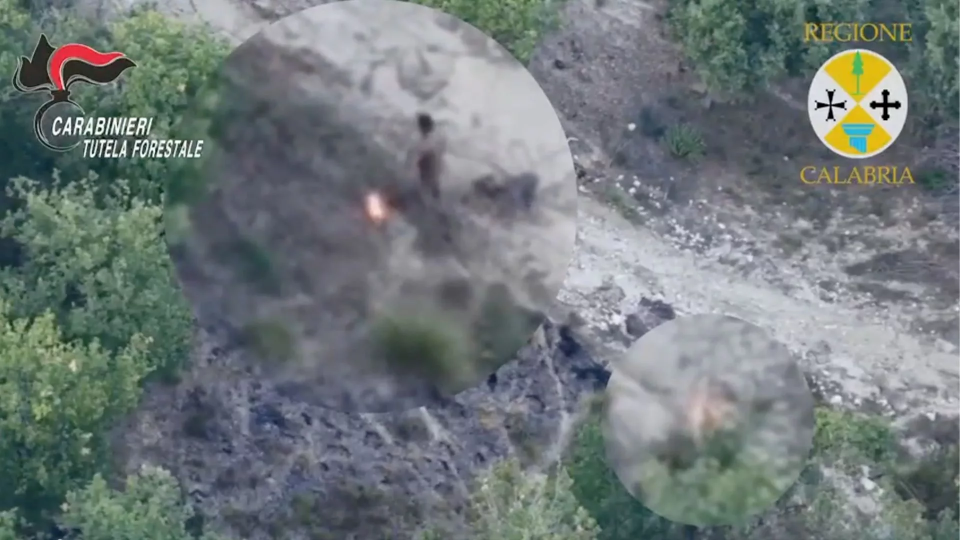 Podpalał las, nie wiedząc, że obserwuje go dron. 50-latek zatrzymany