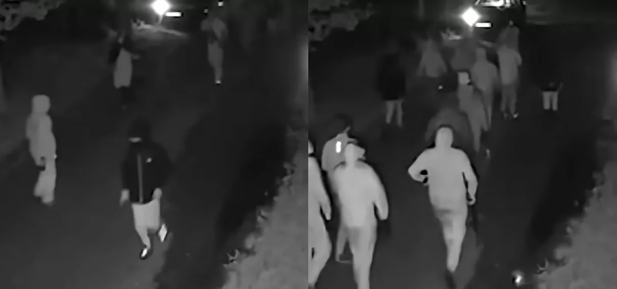 Strzelanina w Overasselt. 51-latek nie żyje, dwóch policjantów rannych, 34 osoby zatrzymane