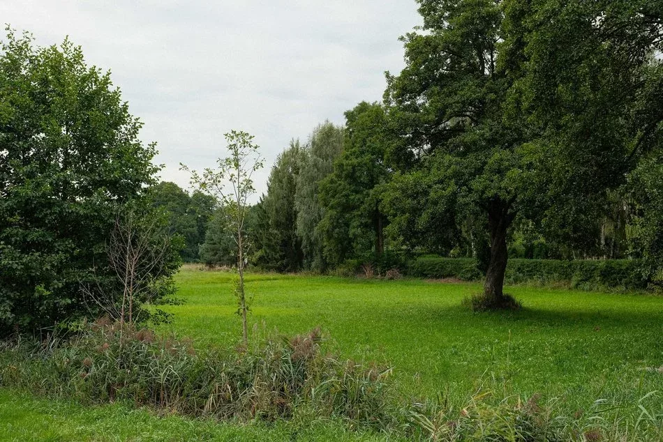 Łódź chce ochronić Dolinę Miazgi przed intensywną zabudową. Powstaje plan miejscowy