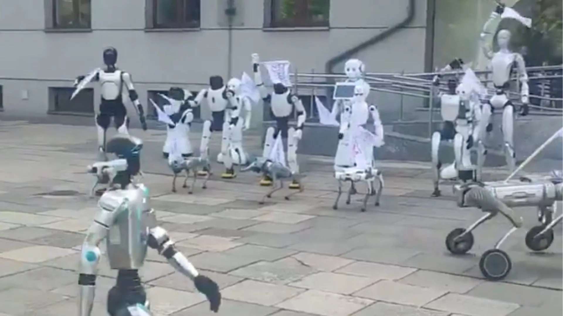 Roboty „protestowały” przed Ministerstwem Cyfryzacji. Minister wyszedł do organizatorów