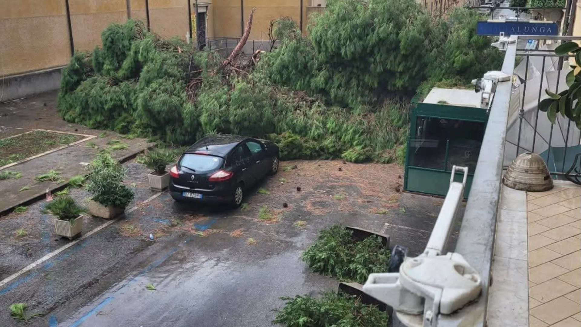 Gwałtowny downburst uderzył w Viareggio. Drzewa runęły na ulice, zniszczone kąpieliska