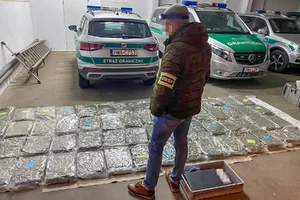 42 osoby zatrzymane po rozbiciu grupy przemycającej narkotyki. Marihuana jechała w ciężarówce ze szparagami