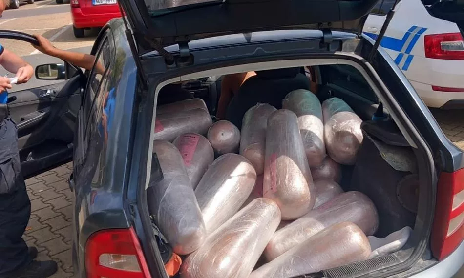 635 kg kebabu bez chłodzenia. Czeskie służby zatrzymały dwa transporty