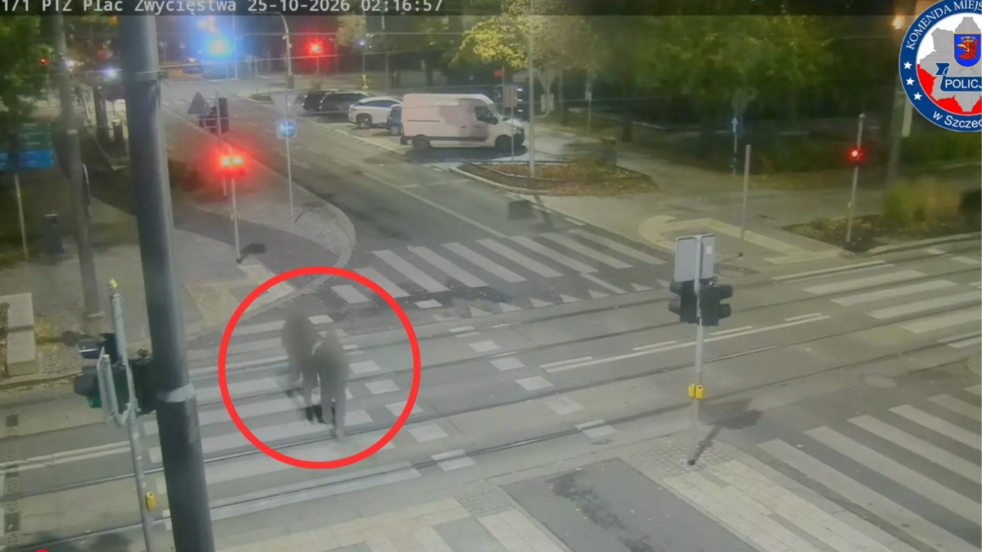 Pobili dwóch mężczyzn i ukradli im telefony. Podejrzani zatrzymani w Szczecinie