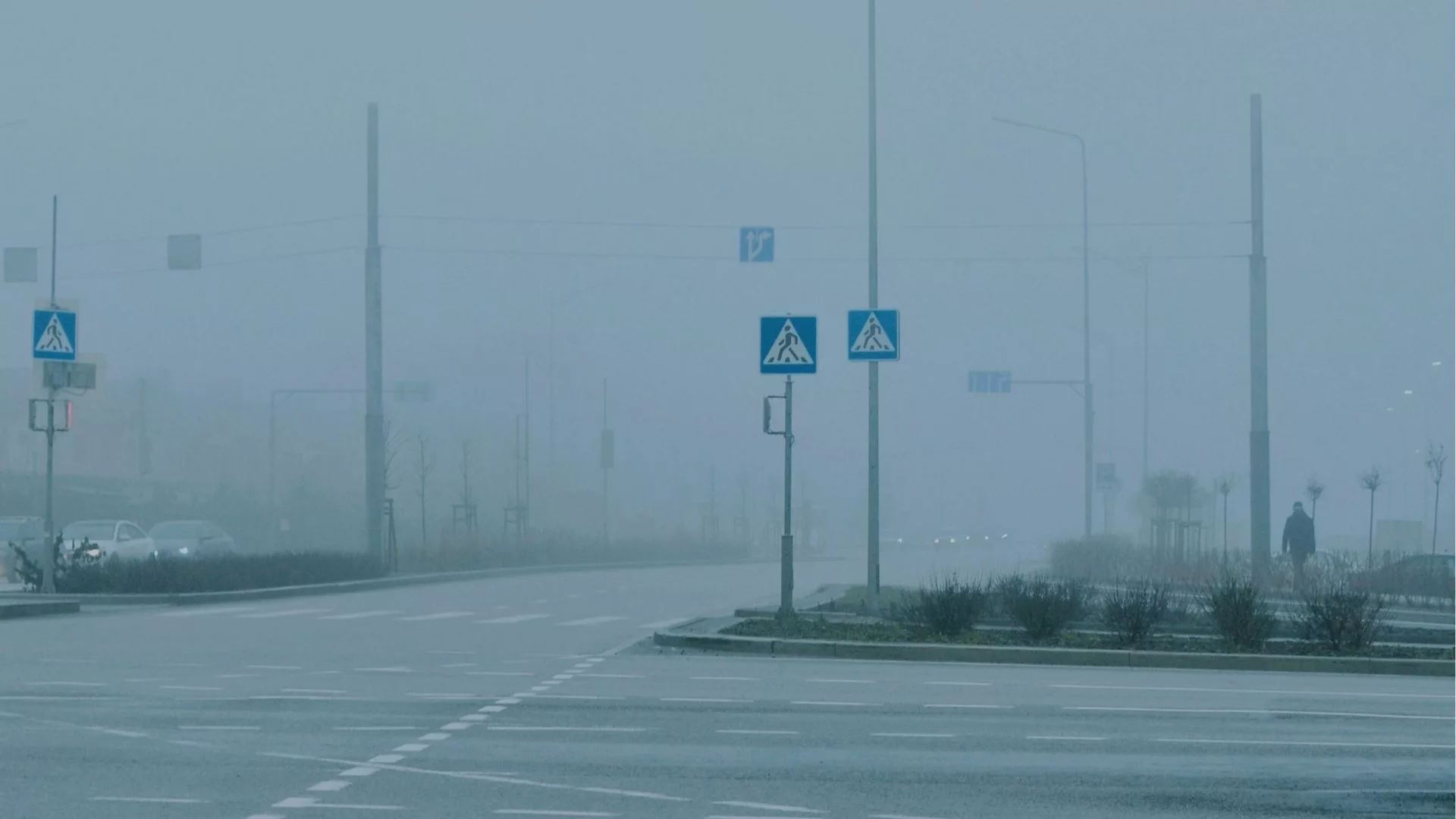 Gęste mgły nad Polską. Widzialność spada do 200 metrów, trudne warunki na drogach